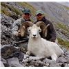 Image 2 : 10 - DAY 1X1 FANNIN OR DALL'S SHEEP HUNT IN THE YUKON