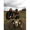 Image 1 : 7 - DAY MOUFLON HUNT IN MACEDONIA FOR 1 HUNTER AND 1 NON-HUNTER