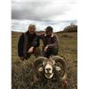 7 - DAY MOUFLON HUNT IN MACEDONIA FOR 1 HUNTER AND 1 NON-HUNTER