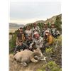 Image 2 : STATE OF MONTANA BIGHORN SHEEP LICENSE