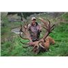 Image 1 : 5-day Red Stag, Tahr and Chamois Hunt in New Zealand for One (1) Hunter