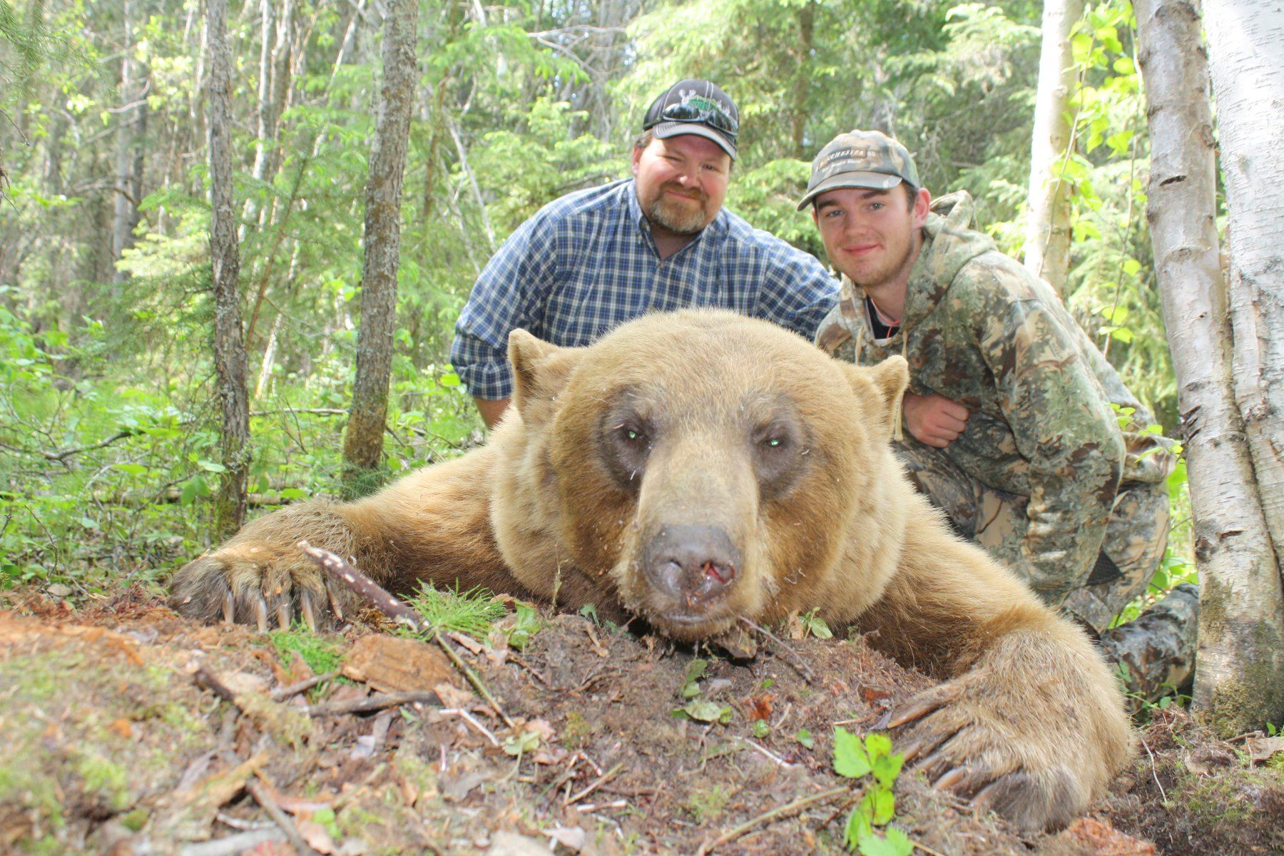 6Day Fully Guided Spring Black Bear Hunt in Alberta, Canada for One (1
