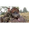 Image 1 : 2018 Turkey & Wild Hog Hunt in Northern California