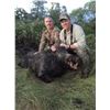 Image 2 : 2018 Turkey & Wild Hog Hunt in Northern California