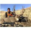 Image 1 : 2018 Montana “Super Tag” Statewide Deer