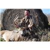 Image 1 : 5-Day Trophy Whitetail Hunt for One (1) Hunter in Kansas