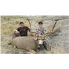 Image 1 : Youth Deer Hunt in Wyoming with Off the Grid Outfitters