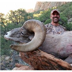 2018 Utah Zion Late Desert Bighorn Sheep Conservation Permit