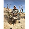 Image 1 : New Mexico Special Deer Permit