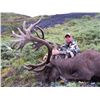 Image 1 : 10-Day Trophy Mountain Caribou at Arctic Red River Outfitters for (2) Hunters