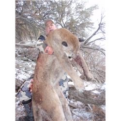 2018 Utah Statewide Cougar Conservation Permit