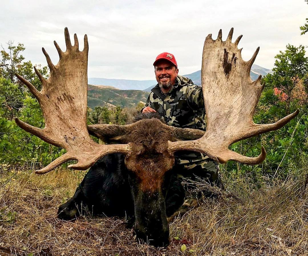 2018 Utah Wasatch Mtns/Central Mtns Moose Conservation Permit