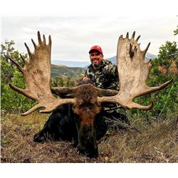 2018 Utah Wasatch Mtns/Central Mtns Moose Conservation Permit