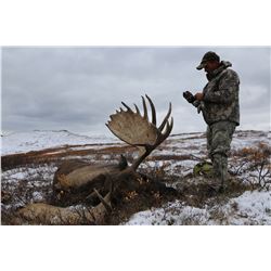 2019 or 2020 Horseback Moose/Grizzly Combination Hunt in Alaska for 1 Hunter