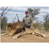 Image 1 : 2018 South African Lion Hunt