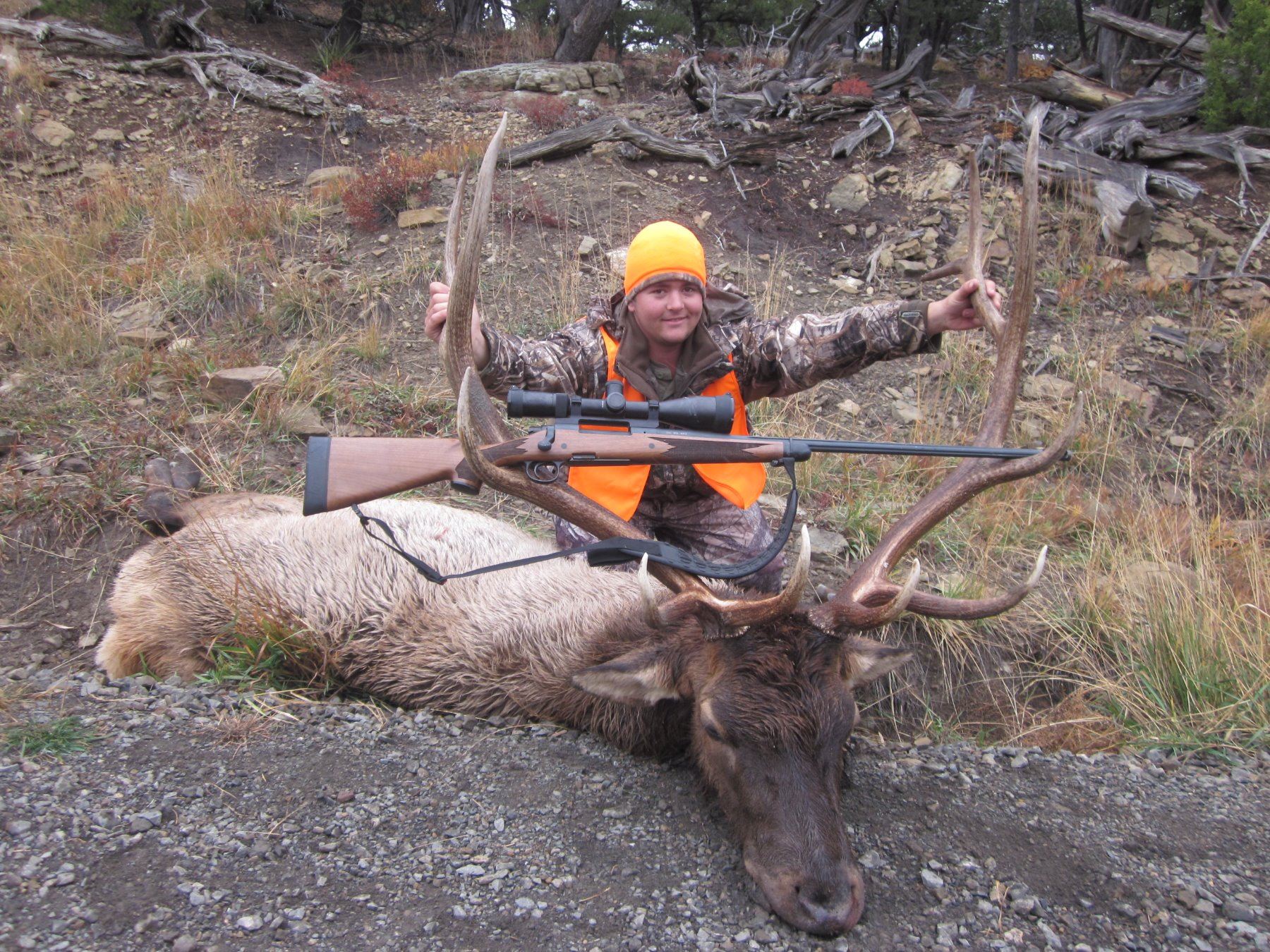 5Day Fully Outfitted Colorado Archery Bull Elk Hunt for One (1) Hunter