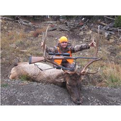5-Day Fully Outfitted Colorado Archery Bull Elk Hunt for One (1) Hunter