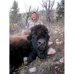 2018 Utah Statewide Bison Conservation Permit