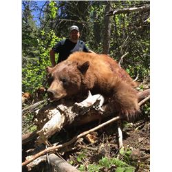 2018 Utah Statewide Bear Conservation Permit