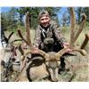 Image 1 : Archery, Muzzleloader or Rifle Mule Deer Hunt on Private Ranch in Southern Colorado