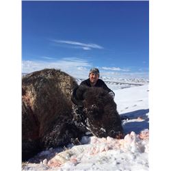 2018 Utah Book Cliffs, Wild Horse Bench/Nine Mile Bison Conservation Permit