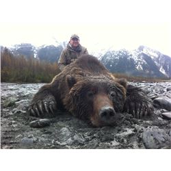 10-Day Alaska Brown Bear Hunt