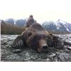 Image 1 : 10-Day Alaska Brown Bear Hunt