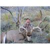 Image 1 : 2018 Utah Henry Mtns Deer (Muzzleloader) Conservation Permit