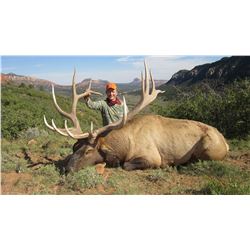 2018 Utah San Juan Multi-Season Elk Conservation Permit