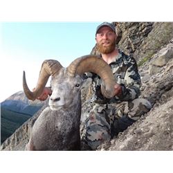14-Day Stone Sheep Horseback Hunt at Full Curl Stone Northern British Columbia for (1) Hunter