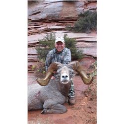 2018 Utah Statewide Desert Bighorn Sheep Conservation Permit