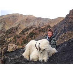 2018 Full Curl Stone Outfitters, Mountain Goat Hunt in Northern BC for (2) Hunters