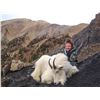 Image 1 : 2018 Full Curl Stone Outfitters, Mountain Goat Hunt in Northern BC for (2) Hunters