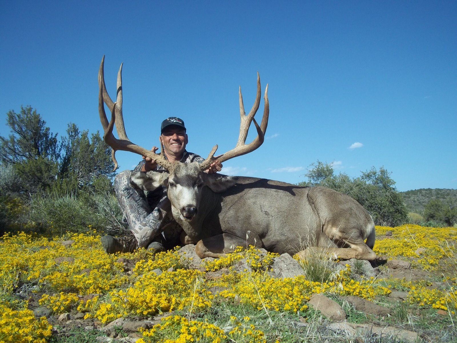 2018 Nevada Units 241 & 242 Landowner Mule Deer Permit