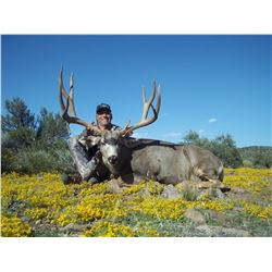 2018 Nevada Units 241 & 242 Landowner Mule Deer Permit