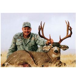 2018 Black Tail Hunt in Northern California