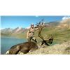 Image 2 : 2019 Backpack  Hunt - Dall Sheep, Moose and Caribou Tom Mower Conservation Hunt for (1) Hunter