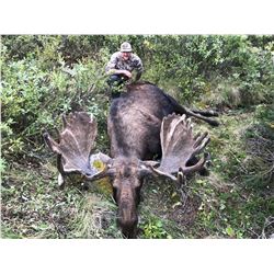 10-Day Moose Hunt for (1) Hunter - Full Curl Stone BC