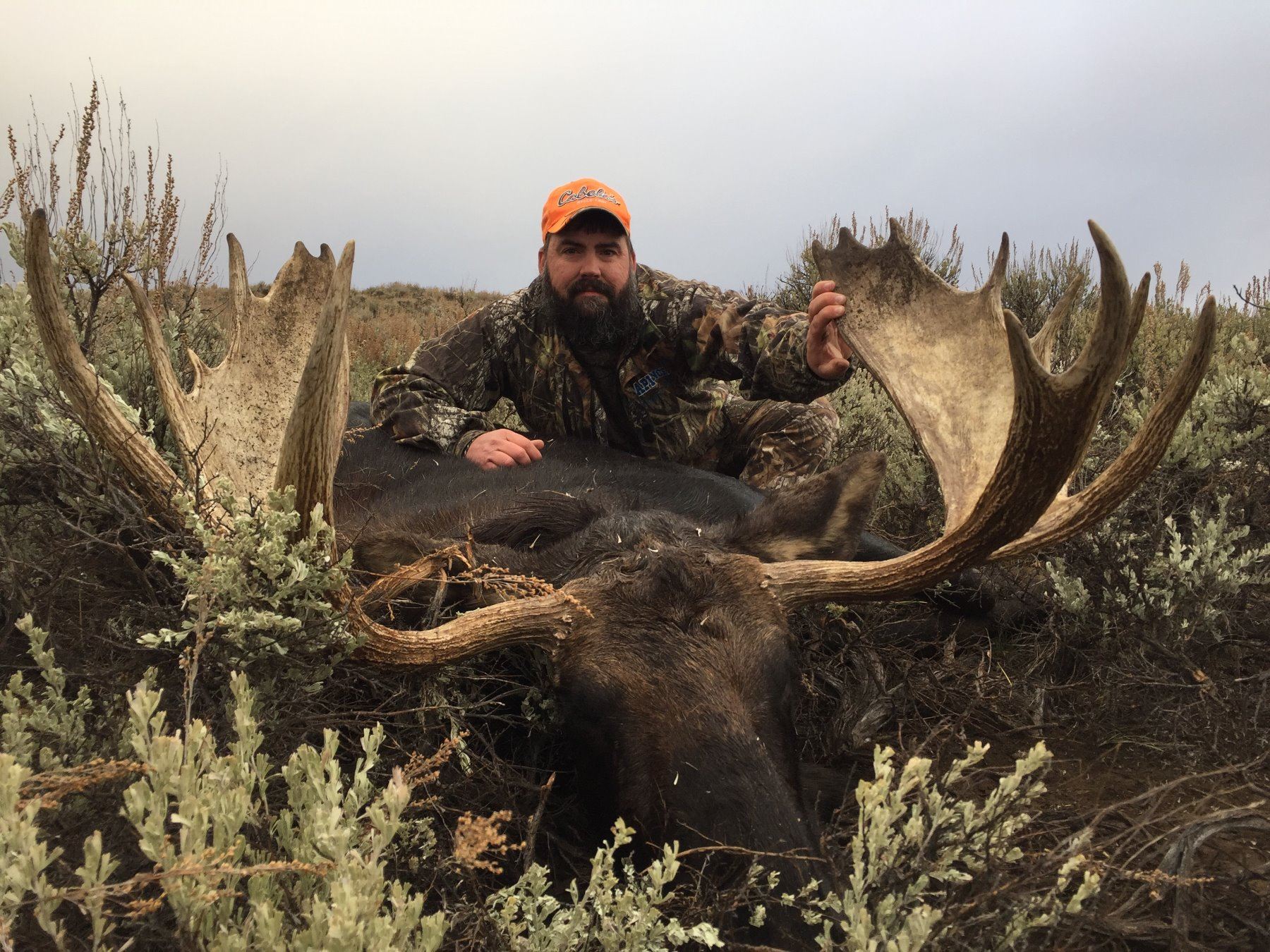 2018 Wyoming Governor's Moose Tag