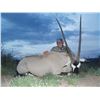 Image 1 : 5-Day New Mexico Oryx Hunt for one (1) Hunter and one (1) non-hunter