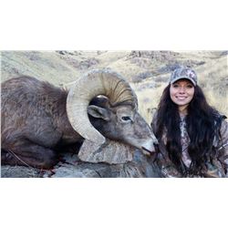Antelope Island California Bighorn Sheep Conservation Permit