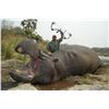 Image 1 : 7-Day Hippo Hunt in South Africa