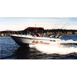 Full Day of Fishing on Lake Ontario