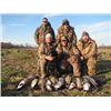 Image 3 : Maryland Waterfowl hunt for 4