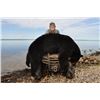 Image 4 : 6-Day Alberta Black Bear Hunt with McKinnon & Co.