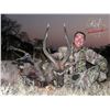 Image 1 : 5-Day Nyala hunt with Tom Miranda Hunting Safaris