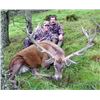 Image 3 : 7-Day Scotland Hill Stag Hunt
