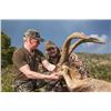 Image 1 : 3-Day Management Ibex hunt in Beceite Mountains of Spain