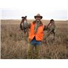 Image 2 : 2 Day “EXPRESS” Pheasant Hunt for 2 with Pheasant City