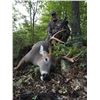Image 2 : Missouri Archery Whitetail Hunt for 2
